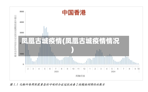 凤凰古城疫情(凤凰古城疫情情况)-第2张图片