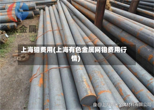 上海钼费用(上海有色金属网钼费用行情)