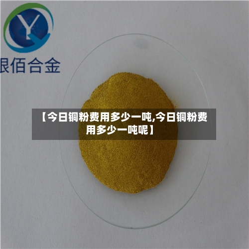 【今日铜粉费用多少一吨,今日铜粉费用多少一吨呢】-第2张图片
