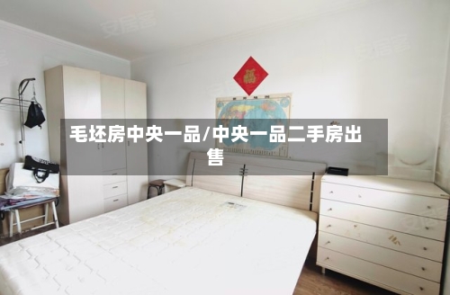 毛坯房中央一品/中央一品二手房出售
