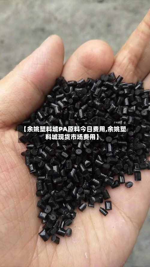 【余姚塑料城PA原料今日费用,余姚塑料城现货市场费用】-第2张图片
