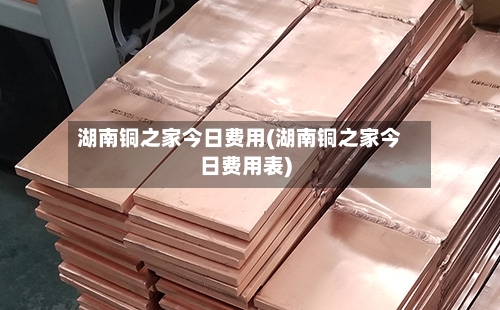 湖南铜之家今日费用(湖南铜之家今日费用表)-第2张图片