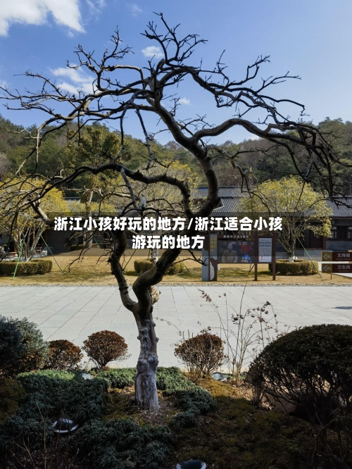 浙江小孩好玩的地方/浙江适合小孩游玩的地方-第2张图片