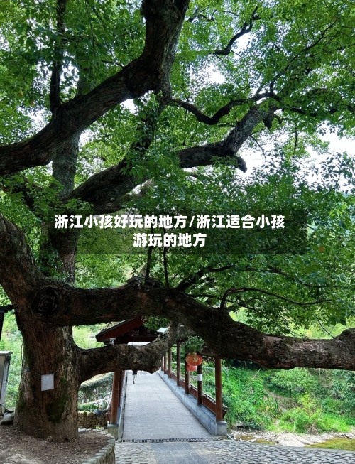 浙江小孩好玩的地方/浙江适合小孩游玩的地方-第3张图片