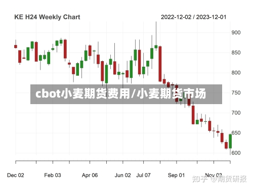 cbot小麦期货费用/小麦期货市场