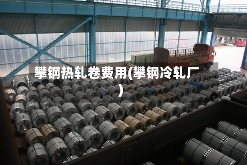 攀钢热轧卷费用(攀钢冷轧厂)-第2张图片