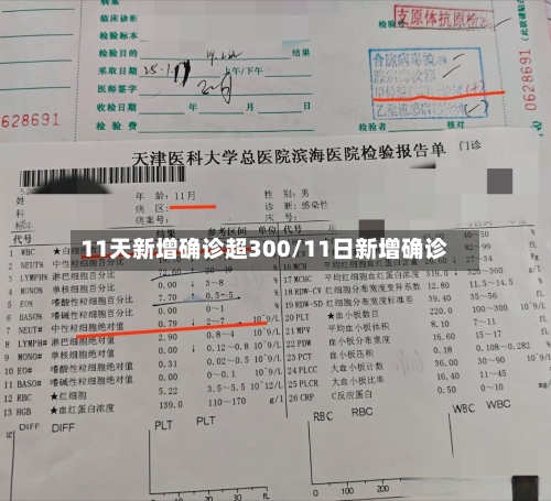 11天新增确诊超300/11日新增确诊