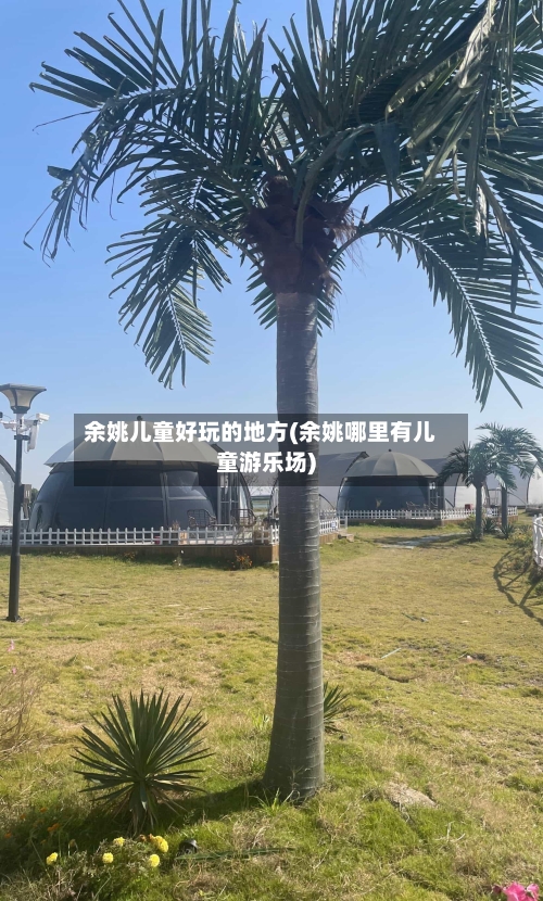 余姚儿童好玩的地方(余姚哪里有儿童游乐场)