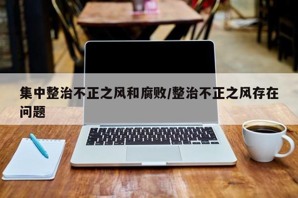 集中整治不正之风和腐败/整治不正之风存在问题