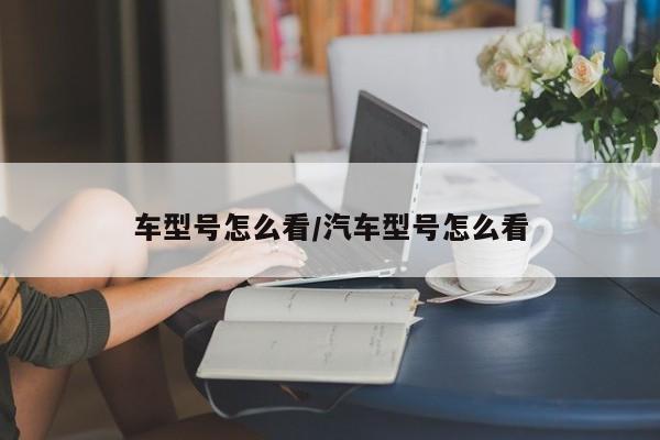 车型号怎么看/汽车型号怎么看