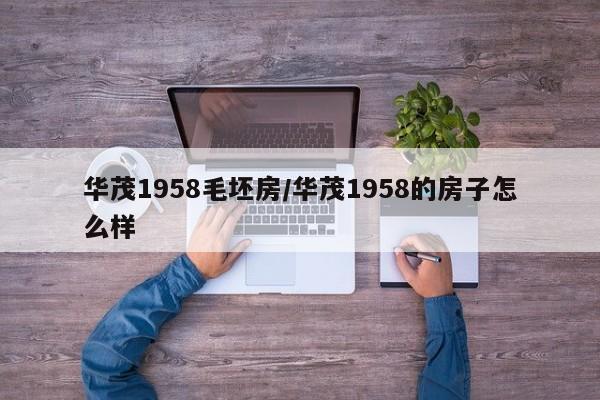 华茂1958毛坯房/华茂1958的房子怎么样