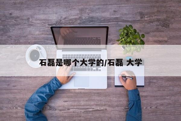 石磊是哪个大学的/石磊 大学